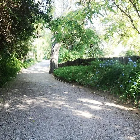 Boutique Style House In Center Croisette 10mn Walk Villa *