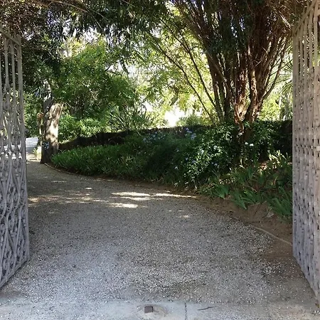 Boutique Style House In Center Croisette 10mn Walk